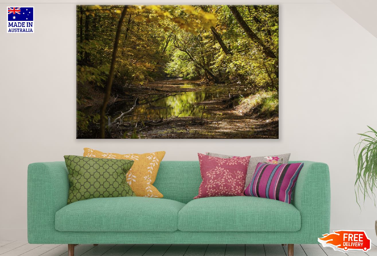 River Trees & Green Forest Photograph Print 100% Australian Made