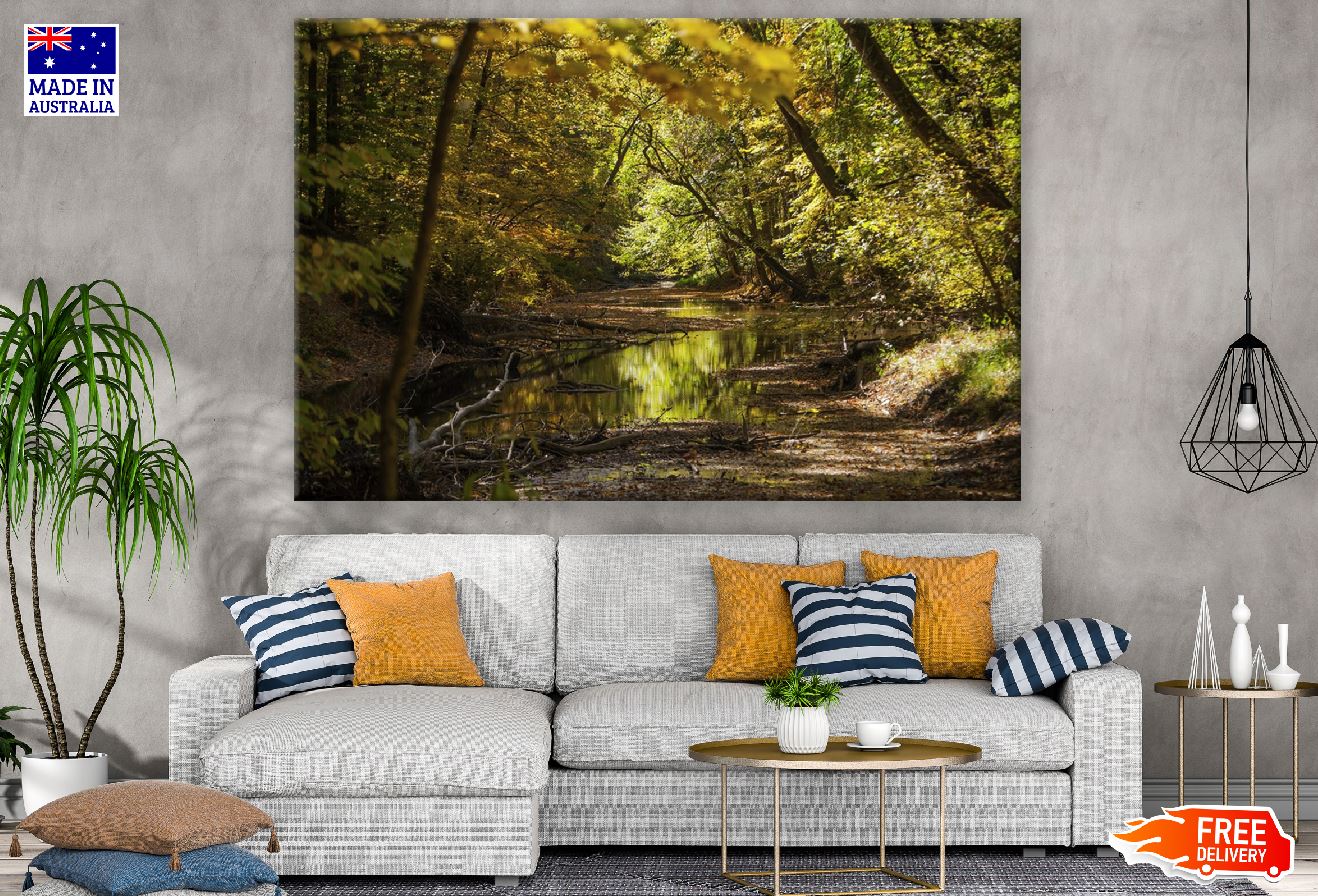 River Trees & Green Forest Photograph Print 100% Australian Made