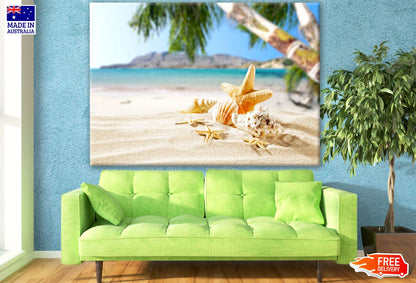 Sea Shells on Beach Photograph Print 100% Australian Made