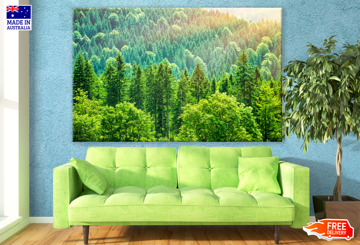 Green Forest Photograph Print 100% Australian Made