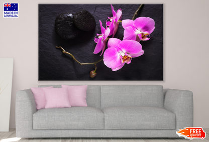 Pink Orchid Flowers Photograph Print 100% Australian Made