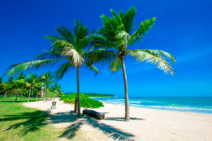 Bella Home Untouched Tropical Beach in Sri Lanka Print Canvas Ready to hang