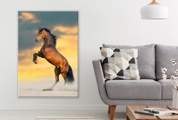 Stunning Stallion standing from back legs Sunset Print 100% Australian Made