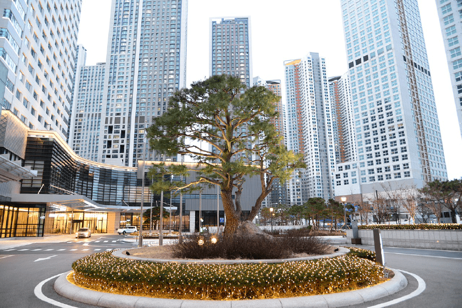 Tree on City Photograph Print 100% Australian Made