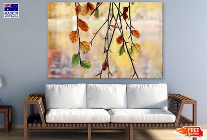 Autumn Tree Leaves Photograph Print 100% Australian Made