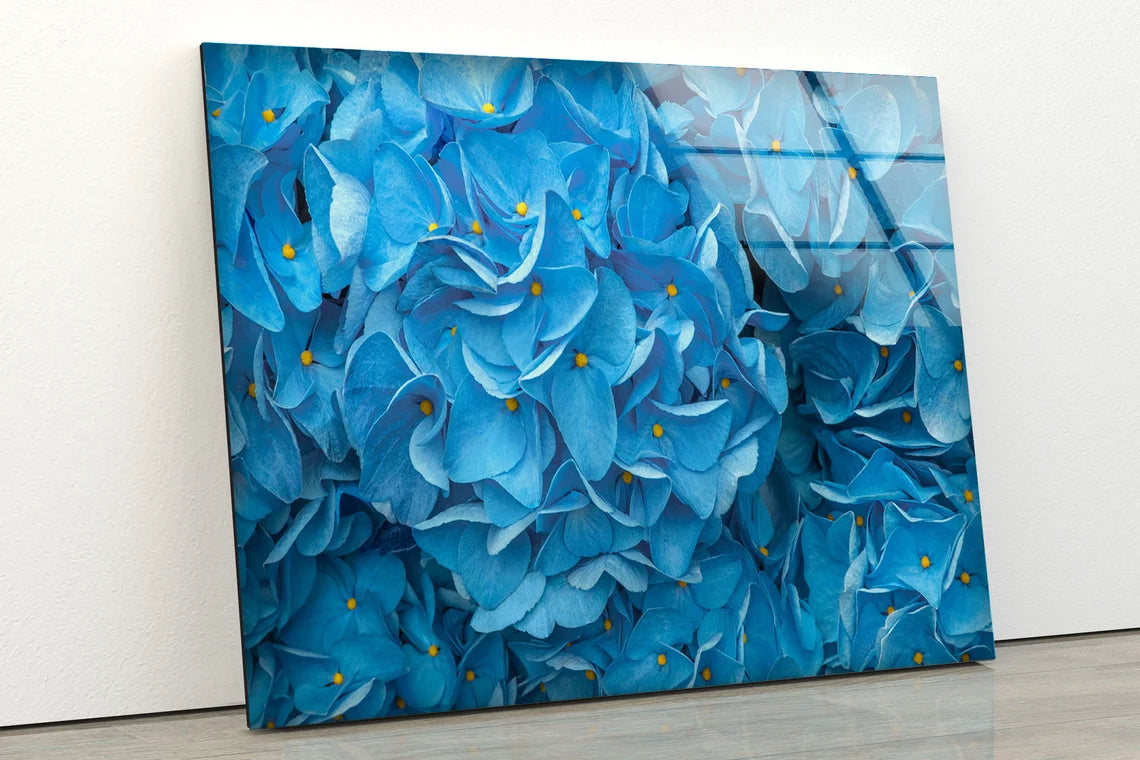 Blue Flowers Photograph Acrylic Glass Print Tempered Glass Wall Art 100% Made in Australia Ready to Hang