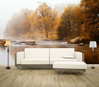 Wallpaper Murals Peel and Stick Removable Stunning water Stream & Misty Forest Photograph High Quality