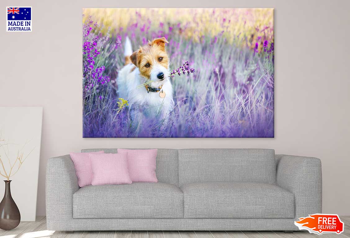 Dog on Flower Field Photograph Print 100% Australian Made