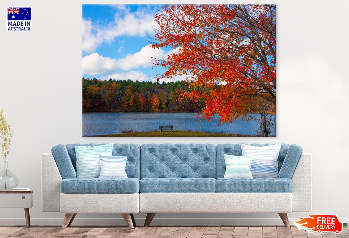 Autumn Tree & Bench Near Lake Scenery Photograph Print 100% Australian Made