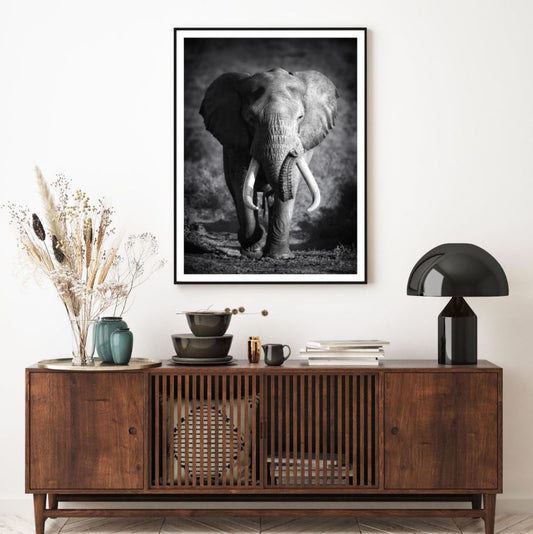 Elephant Portrait B&W Photograph Home Decor Premium Quality Poster Print Choose Your Sizes