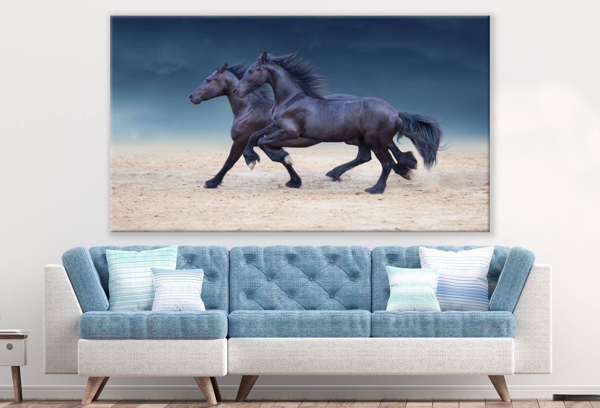 Two Shiny Black Horses Running Print Ready to Hang 100% Australian Made