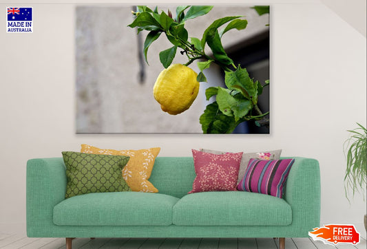 Lemon with Leaves Photograph Print 100% Australian Made