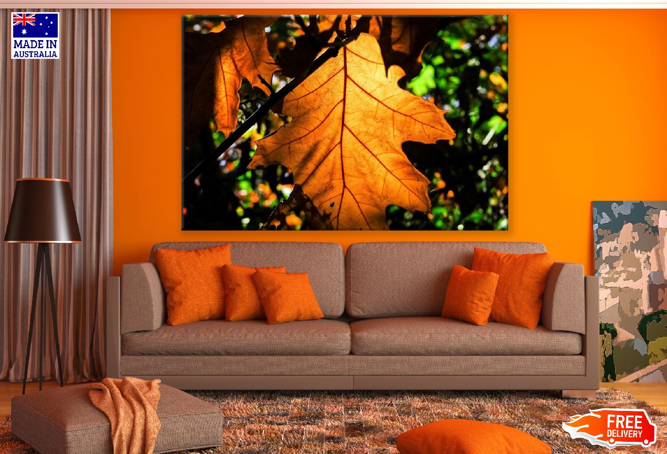 Maple Leaf Closeup Photograph Print 100% Australian Made