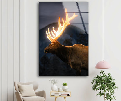 Deer with Shiny Antler Acrylic Glass Print Tempered Glass Wall Art 100% Made in Australia Ready to Hang