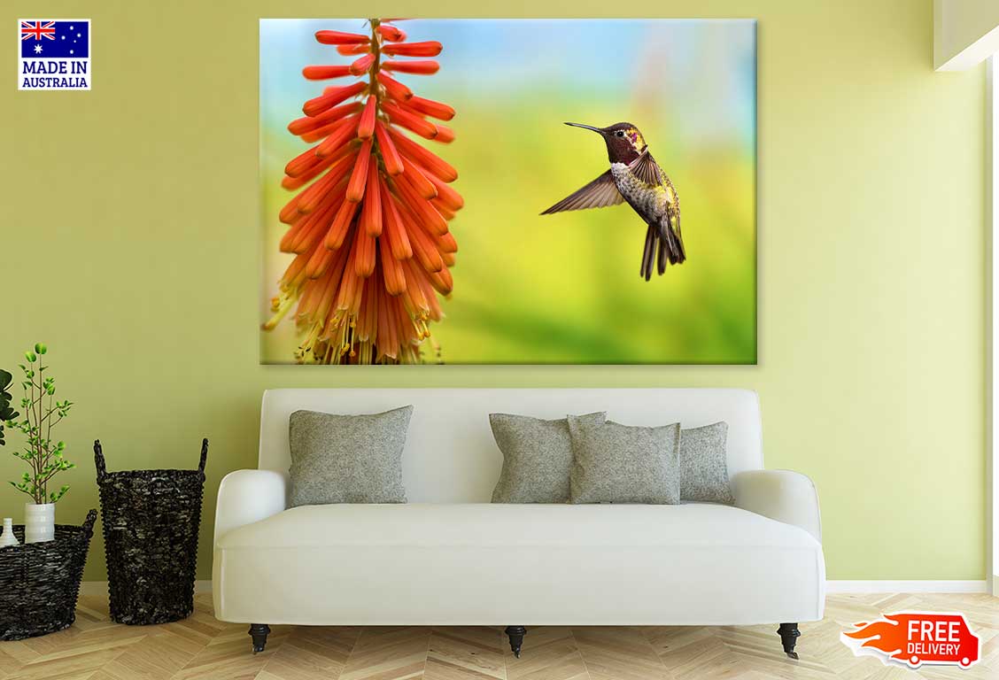 Tiny Hummingbird View Photograph Print 100% Australian Made