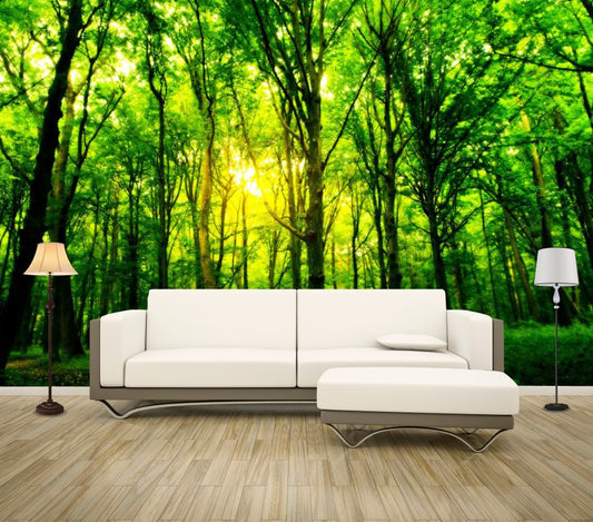 Wallpaper Murals Peel and Stick Removable Stunning Forest Photograph High Quality