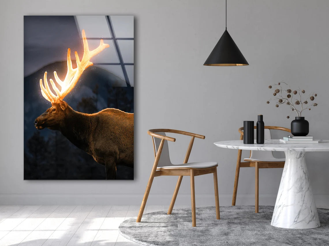 Deer with Shiny Antler Acrylic Glass Print Tempered Glass Wall Art 100% Made in Australia Ready to Hang