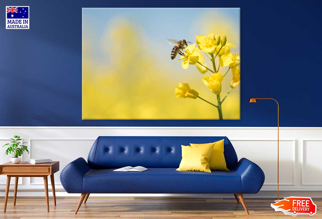 Bee on Yellow Flower Plant View Photograph Print 100% Australian Made