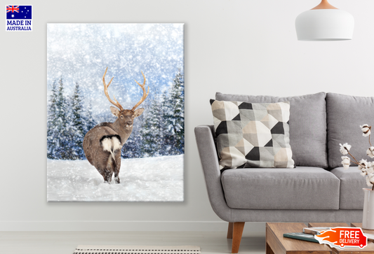 Snow Deer Looking Back Photograph Print 100% Australian Made