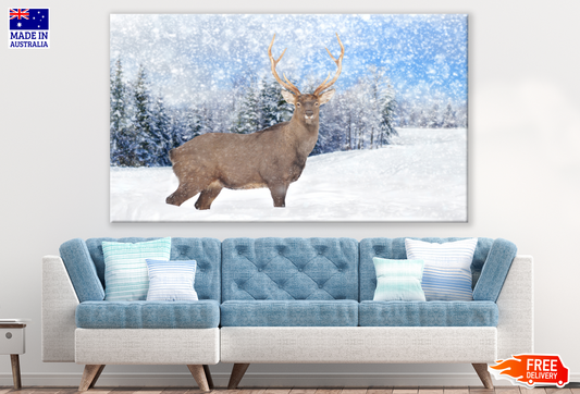 Snow Deer Looking Photograph Print 100% Australian Made