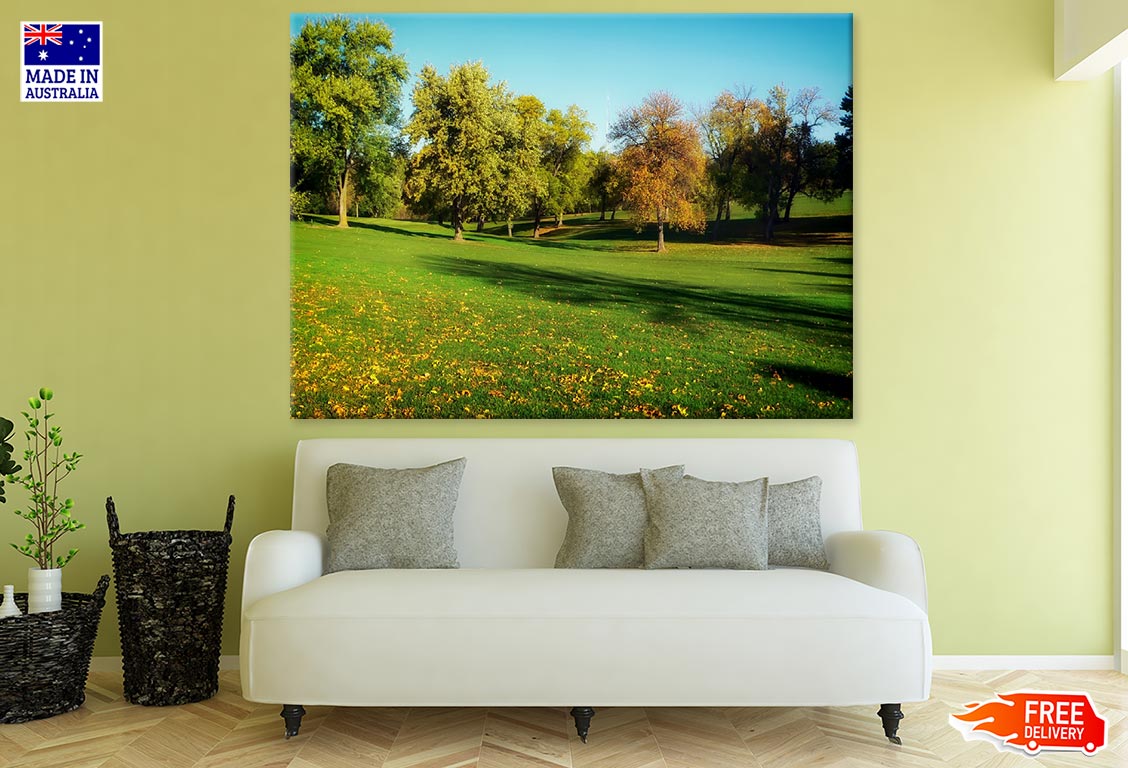 Colorful Trees on Meadow Photograph Print 100% Australian Made