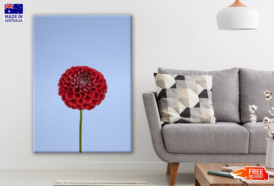 Red Large Round Chrysanthemum Flower Closeup Photograph Print 100% Australian Made