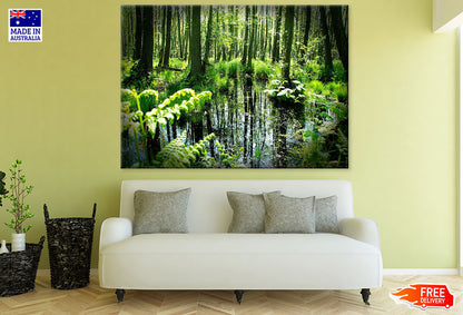 Forest Photograph Print 100% Australian Made