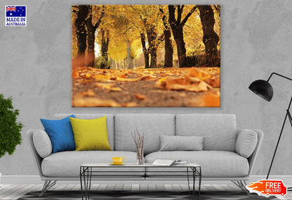 Autumn Trees Scenery Photograph Print 100% Australian Made