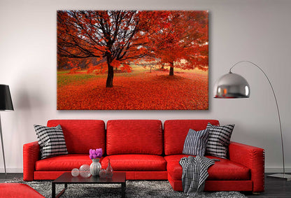 Bella Home Red Autumn Trees With Leaves Fallen Print Canvas Ready to hang