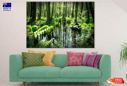 Forest Photograph Print 100% Australian Made