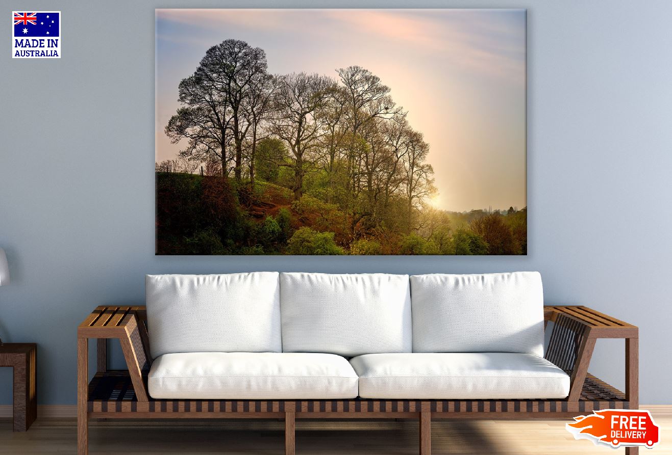 Trees on Mountain Sunset Photograph Print 100% Australian Made