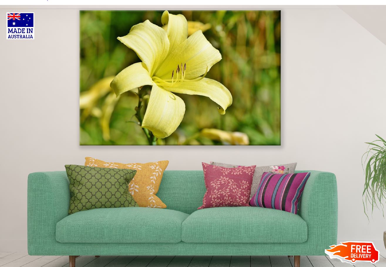 Yellow Lily Flower Closeup Photograph Print 100% Australian Made