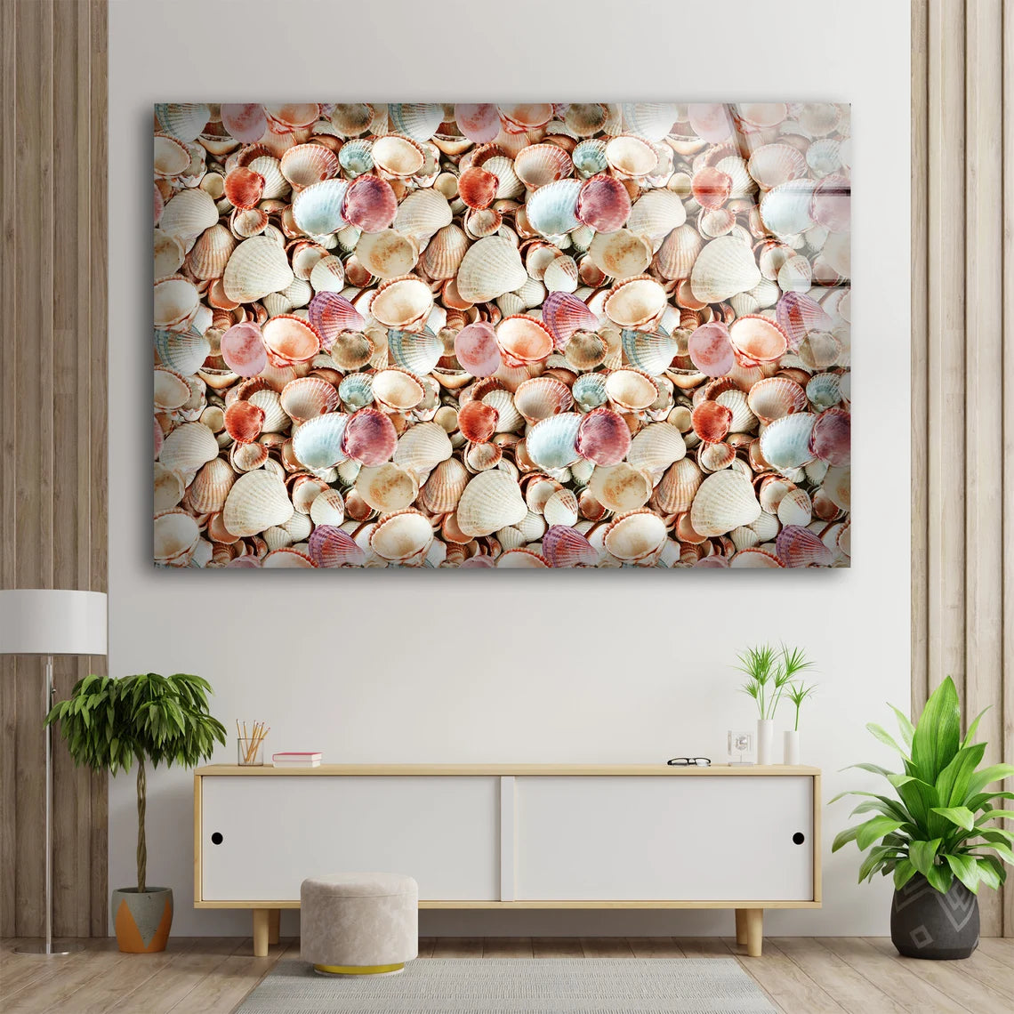 Sea Shells Photograph Acrylic Glass Print Tempered Glass Wall Art 100% Made in Australia Ready to Hang