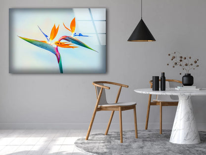 Colorful Flower Closeup Photograph Acrylic Glass Print Tempered Glass Wall Art 100% Made in Australia Ready to Hang