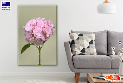 Bouquet of Pink Peonies Closeup Photograph Print 100% Australian Made