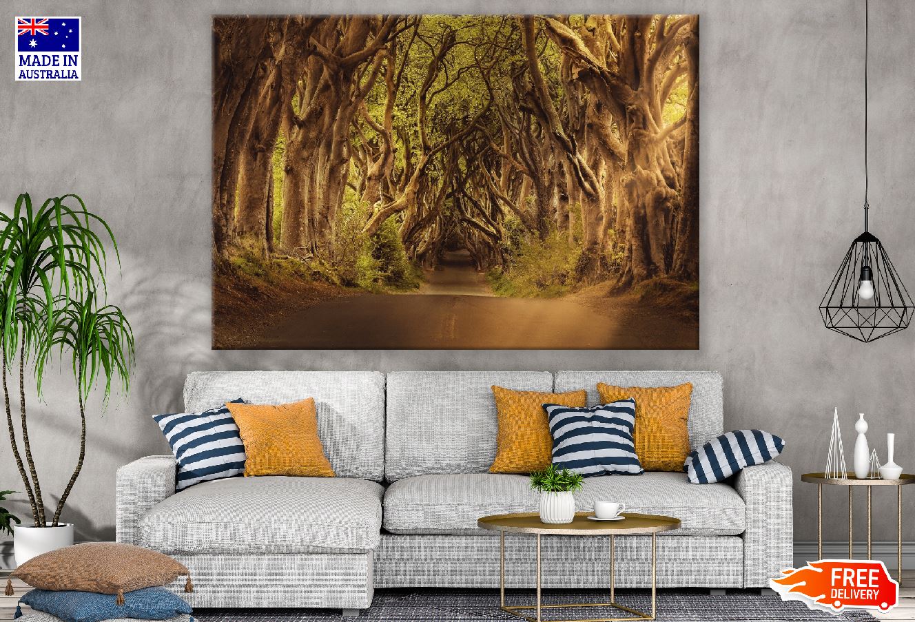 Beech Trees Covered with Road Photograph Print 100% Australian Made