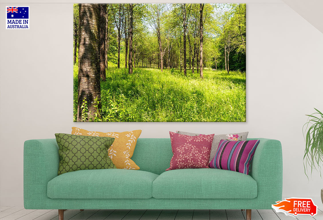 Grass & Trees Photograph Print 100% Australian Made