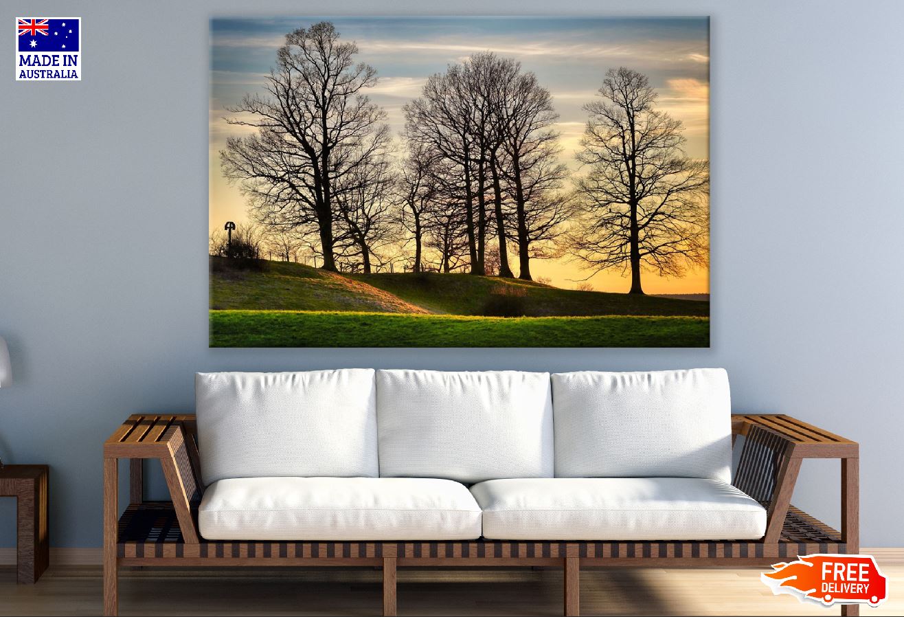 Dead Trees on Hill Sunset Photograph Print 100% Australian Made