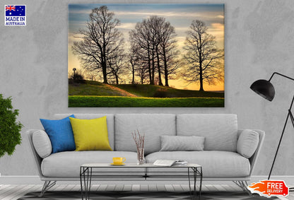 Dead Trees on Hill Sunset Photograph Print 100% Australian Made