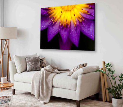 Bella Home Lotus For Conceptual Purpose Plant Print Canvas Ready to hang