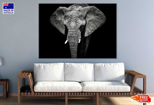 Elephant Closeup B&W Photograph Print 100% Australian Made