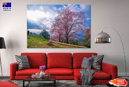 Cherry Blossom Tree on Hill View Photograph Print 100% Australian Made