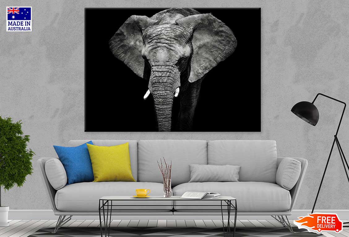 Elephant Closeup B&W Photograph Print 100% Australian Made