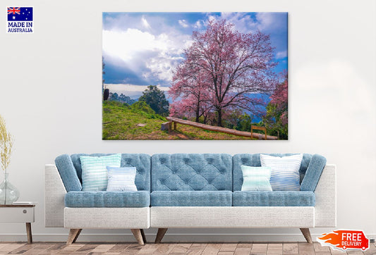 Cherry Blossom Tree on Hill View Photograph Print 100% Australian Made