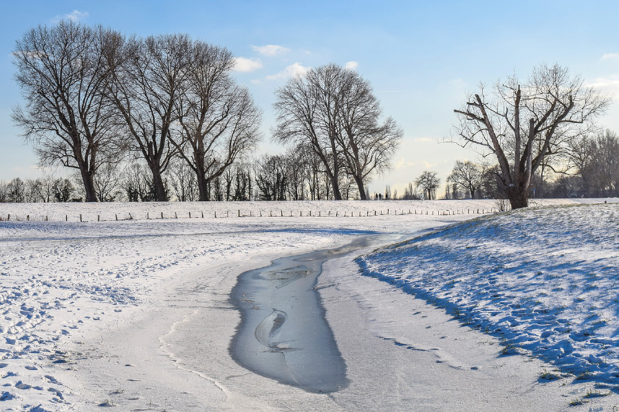 Trees & Snow Covered Ground Photograph Print 100% Australian Made