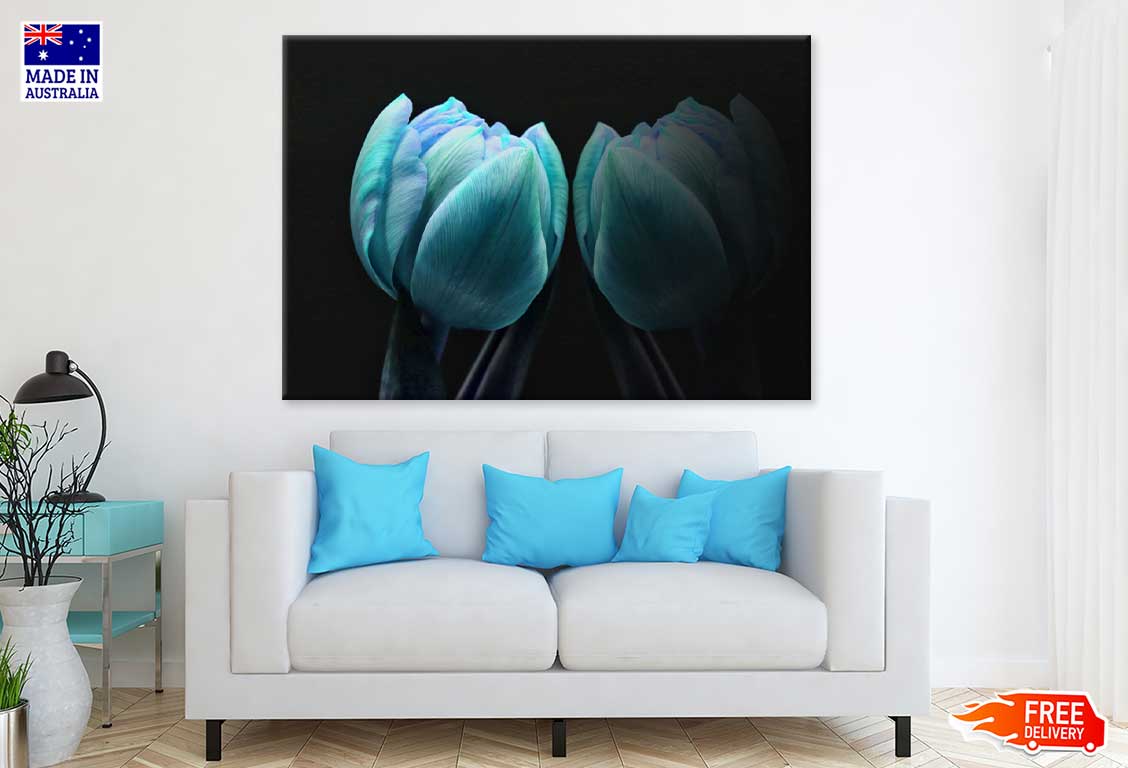 Green Blue Tulip on Dark View Photograph Print 100% Australian Made