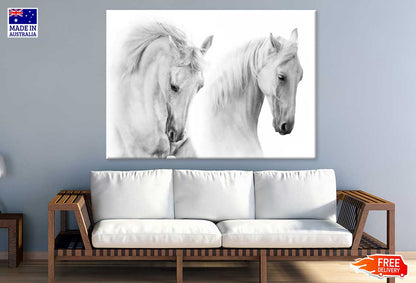 White Horses Closeup Photograph Print 100% Australian Made