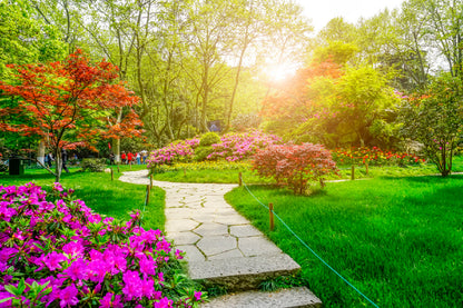 Autumn Garden with Pathway View Photograph Print 100% Australian Made