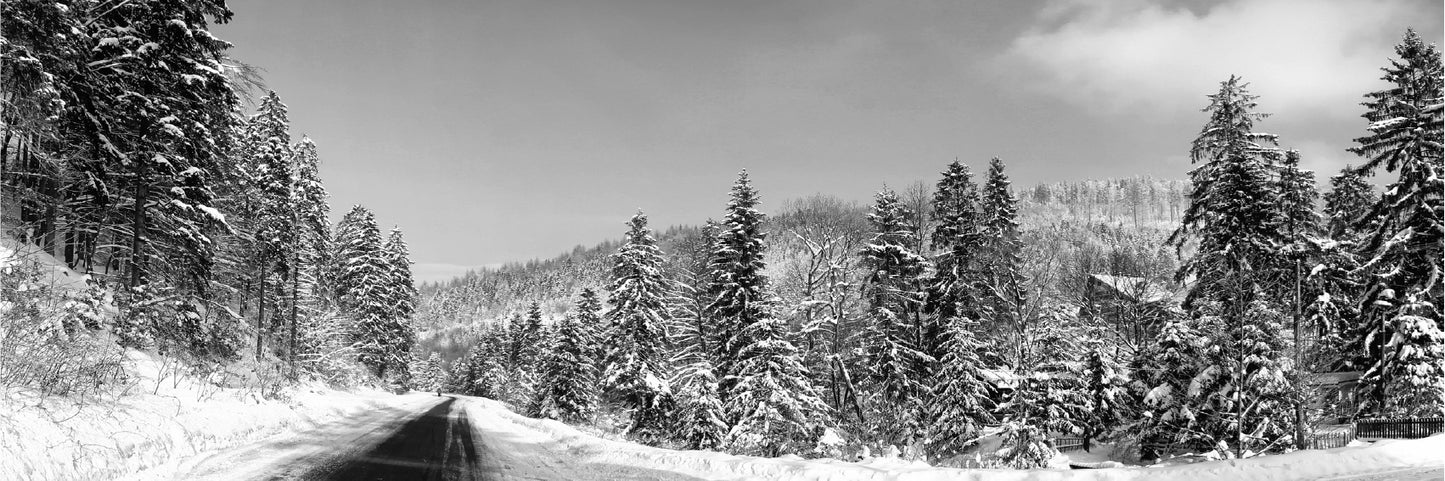 Panoramic Canvas Snow Trees B&W View Photograph High Quality 100% Australian Made Wall Canvas Print Ready to Hang