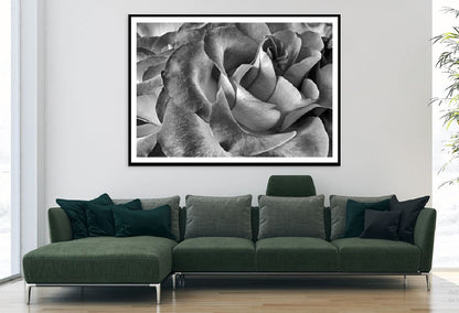 Rose Flower Petals Closeup B&W Photograph Home Decor Premium Quality Poster Print Choose Your Sizes